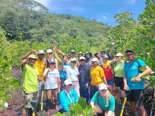 2. Mangrove restoration at Port Launay (Ramsar site) copy