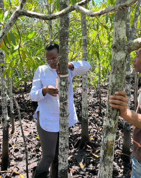 515436463_122160710054401680_568048593124019566_n